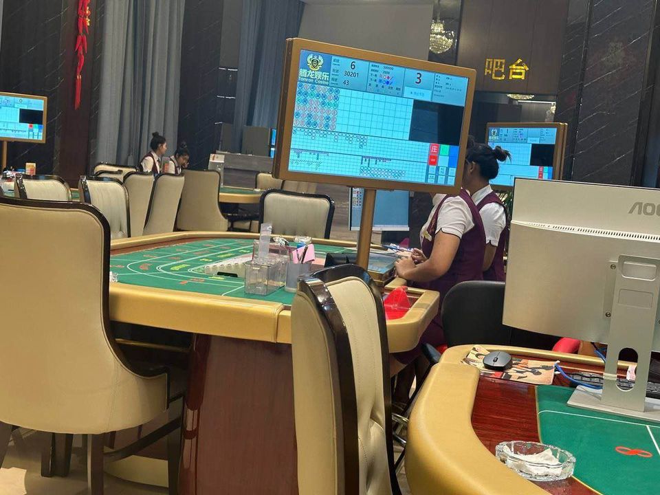案例展示八